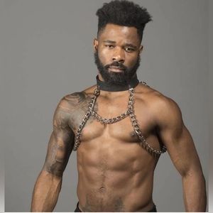 Leather collar with chain harness.